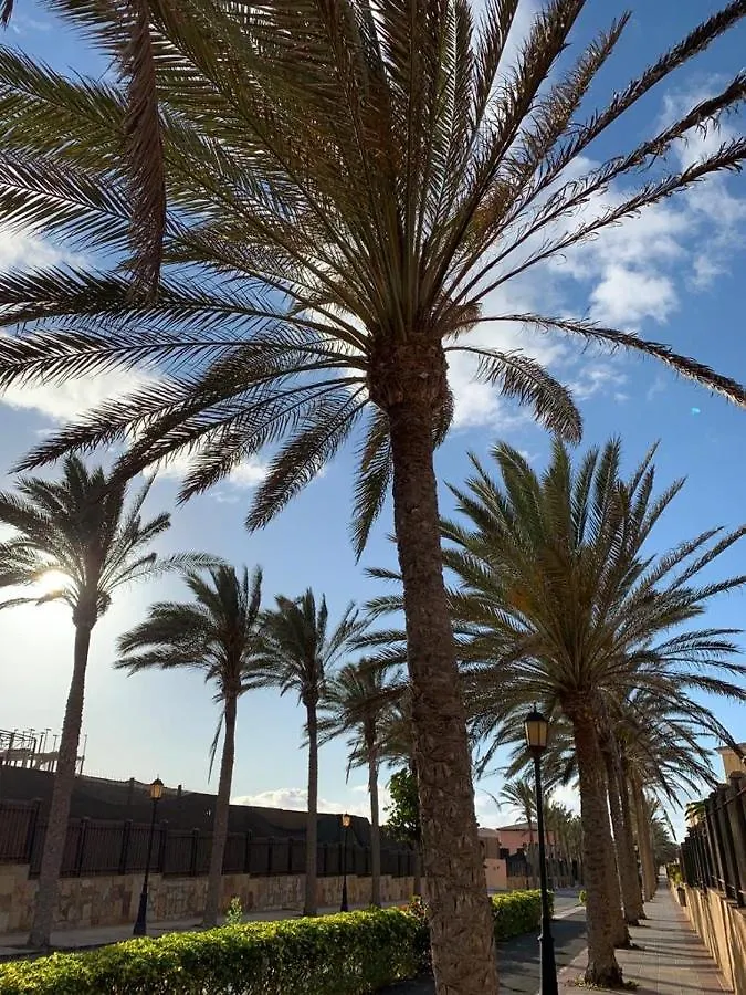 Daire La Tunera Fuerteventura Corralejo